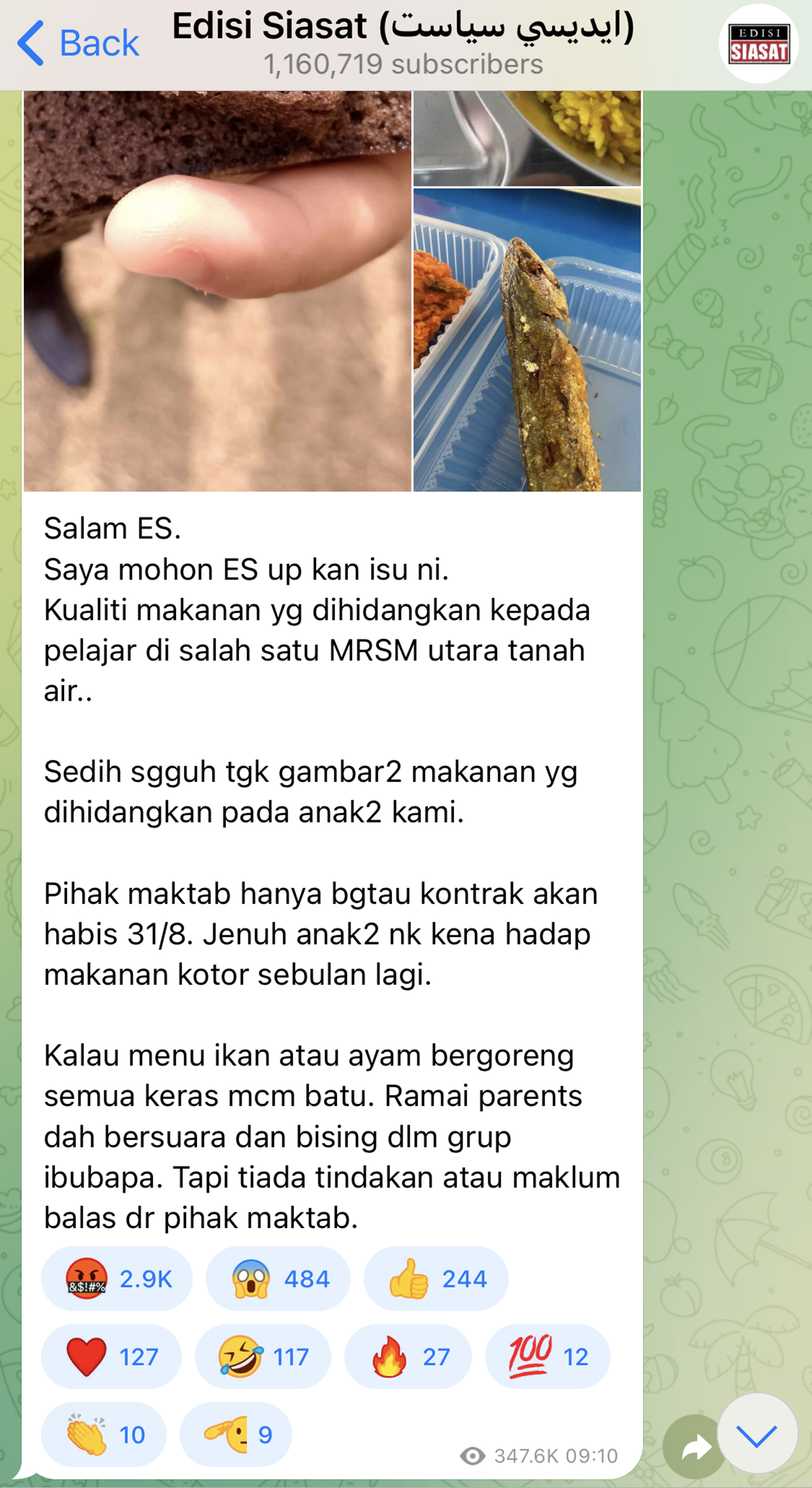 telegram edisi siasat makanan MRSM