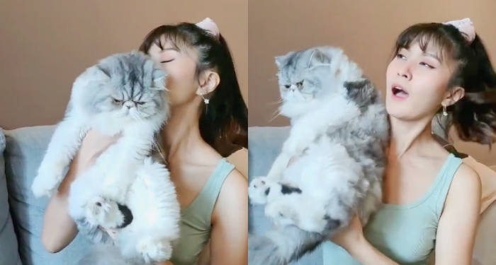 Elizabeth Tan Bersama Kucing Gebunya, u201cBersabar Je Kena Gom0l 