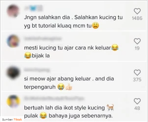 Kan dah tak boleh masuku201d u2013 [VIDEO] Alasan Nak Ambil Kucing, Budak 