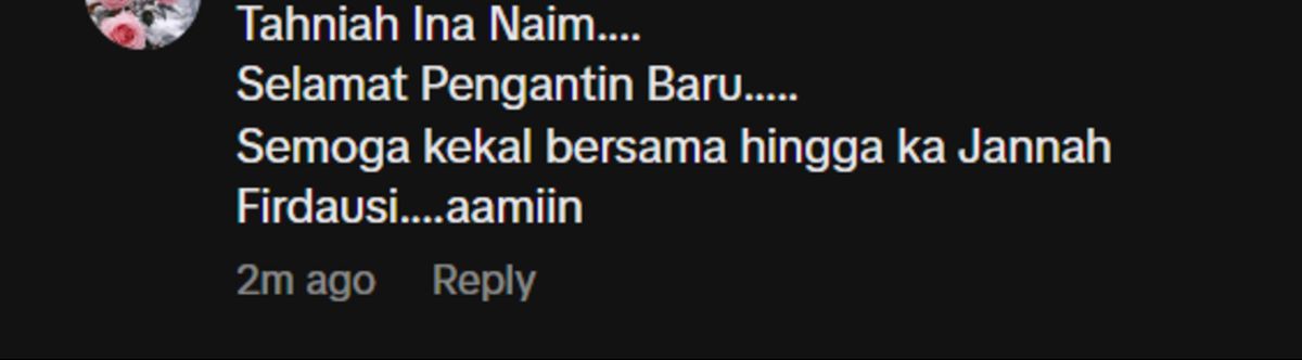 ina naim kahwin 